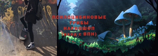 МДПВ Армянск